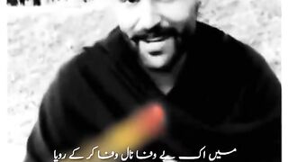 میں_اک_بے_وفا_نال_وفا_کر_کے_رویا_