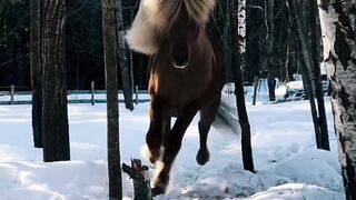 Amazing Nature