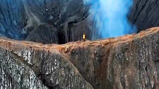 Amazing Nature