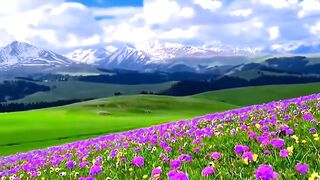Amazing Nature