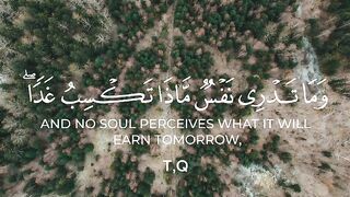 #quran #قرآن_كريم #تلاوة_رائعة #آيه_من_كتاب_الله