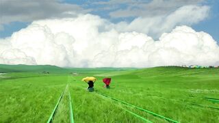 I don't want to go to work and want to go grass skiing on the prairie with my good friend