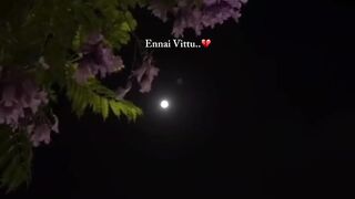 Tamilsongs