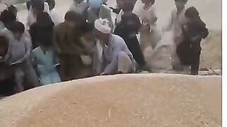 Punjabi culture