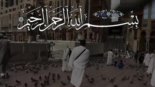 سورة_الكوثر #قران_كريم