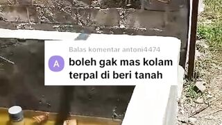 Serius nanya❗Memasukan tanah atau LUMPUR kekolam TERPAL tujuannya apa❓