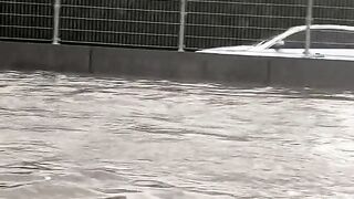 To much water
