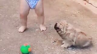 baby vs cat funny short video ???????????????????????? #cat #funnycat #babycat #cutebabies #funnyvideos #ha #funnybab