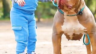 Cute Baby And Dog ????????????????????????????????????????????????????????????????????????????????????????????????????????????#Petlover