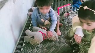beautiful children's toys