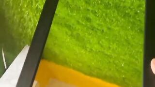 Beautiful video