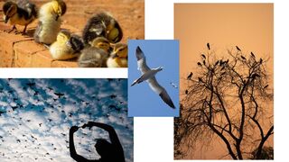 these videos provide an immersive experience for viewers of all ages.
