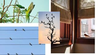 these videos provide a window into ecosystems across the globe.