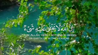 ما شاء الله
