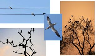 Rain: Nature's Essential Gift