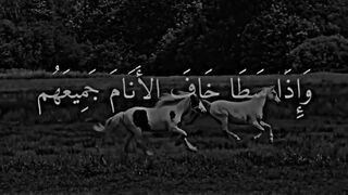 اجمل ما قال خليل بلوشي