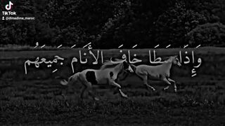 من اجمل ما سمعت