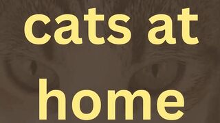 Raising cats at home benefits #pets_birds #cats_care #raising_cats