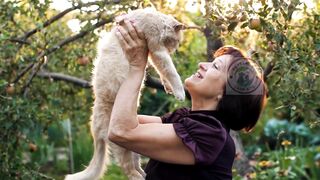 Benefits of raising cats | At home #pets_birds #raisingcats #raising_cats