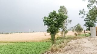 Weather condition