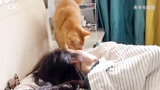 cat sleeping with owner