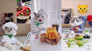 that little puff Tiktok Compilation