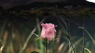 Razzaq5Beautiful video Quran@trending@islamicstatus@quranvideo@whtsappstatus@qurantranslation@. plz subscribe and watch my video