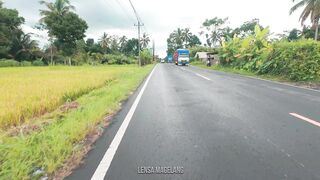 Indonesian Nature