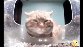 Mr.snack sleep