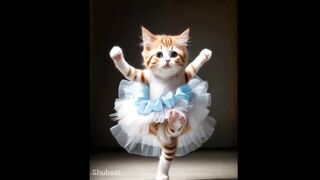 Cute Cat Dancing |#cute #cat #funny #animal