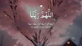 Tilawat quran