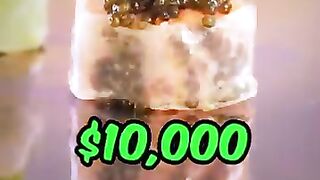 Feeding cat $10 vs $10,000 sushi