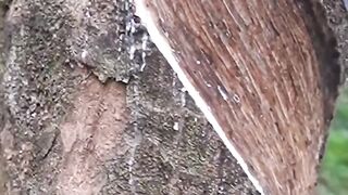 Can you guess what it is before the end?