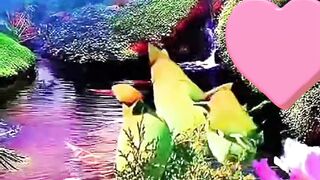 Nature of beauty