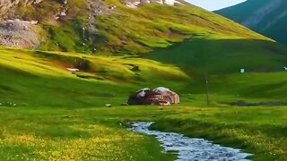 Natural video