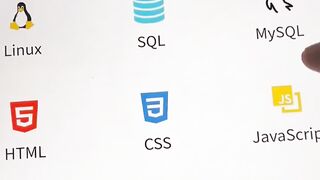 Programmer