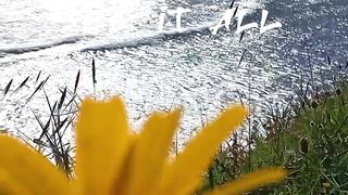 Nature's creations
