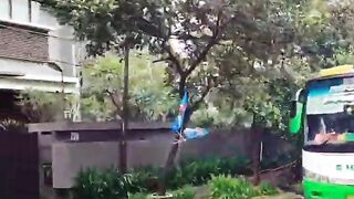 FULL TELOLET BASURI ARTIS BUS FENOMENAL 2024