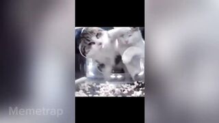 0:26 / 8:52   TRY NOT TO LAUGH ???? Best Funny Video Compilation ???????????? Memes PART 80