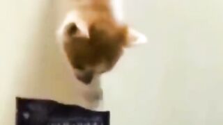 Funny Moment #2