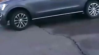 A cop saves a dog that was stuck in a burning car