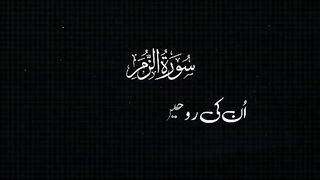 Surat Al zamar with translation status short video