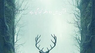 Dr Israr