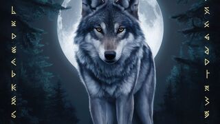 Discover the astonishing hidden truths and secrets about wolves!