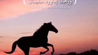Majestic Quran Recitation" | "Beautiful Quran Recitation"