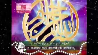 qadri ajmal meer