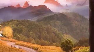Beautiful view of nature
