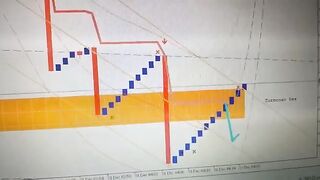 Forex trading