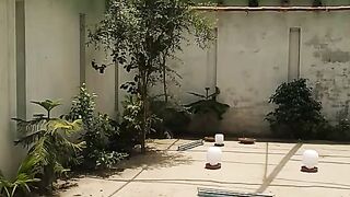 Farm my bird