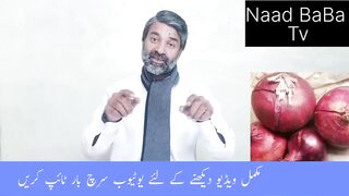Onion